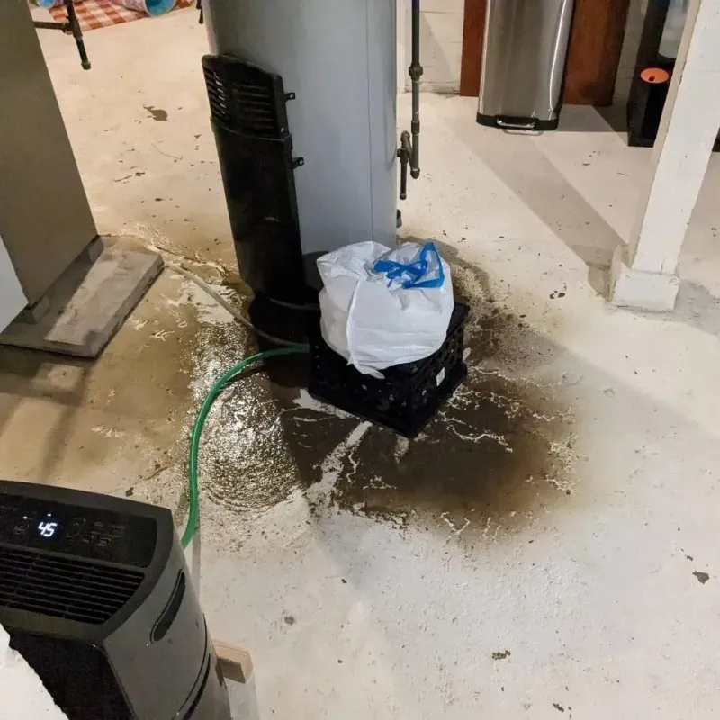 Sewage Backup Cleanup Service in Nicollet, MN